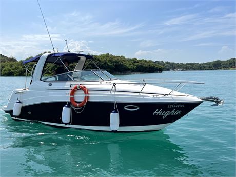 2010 Rinker 260 Powerboat For Sale In Singapore